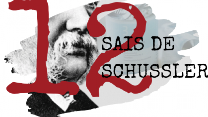 Os 12 Sais de Schüssler