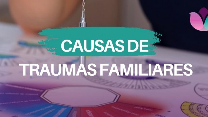 Causas de Traumas na Liberação Radiestésica Homeopática 2024